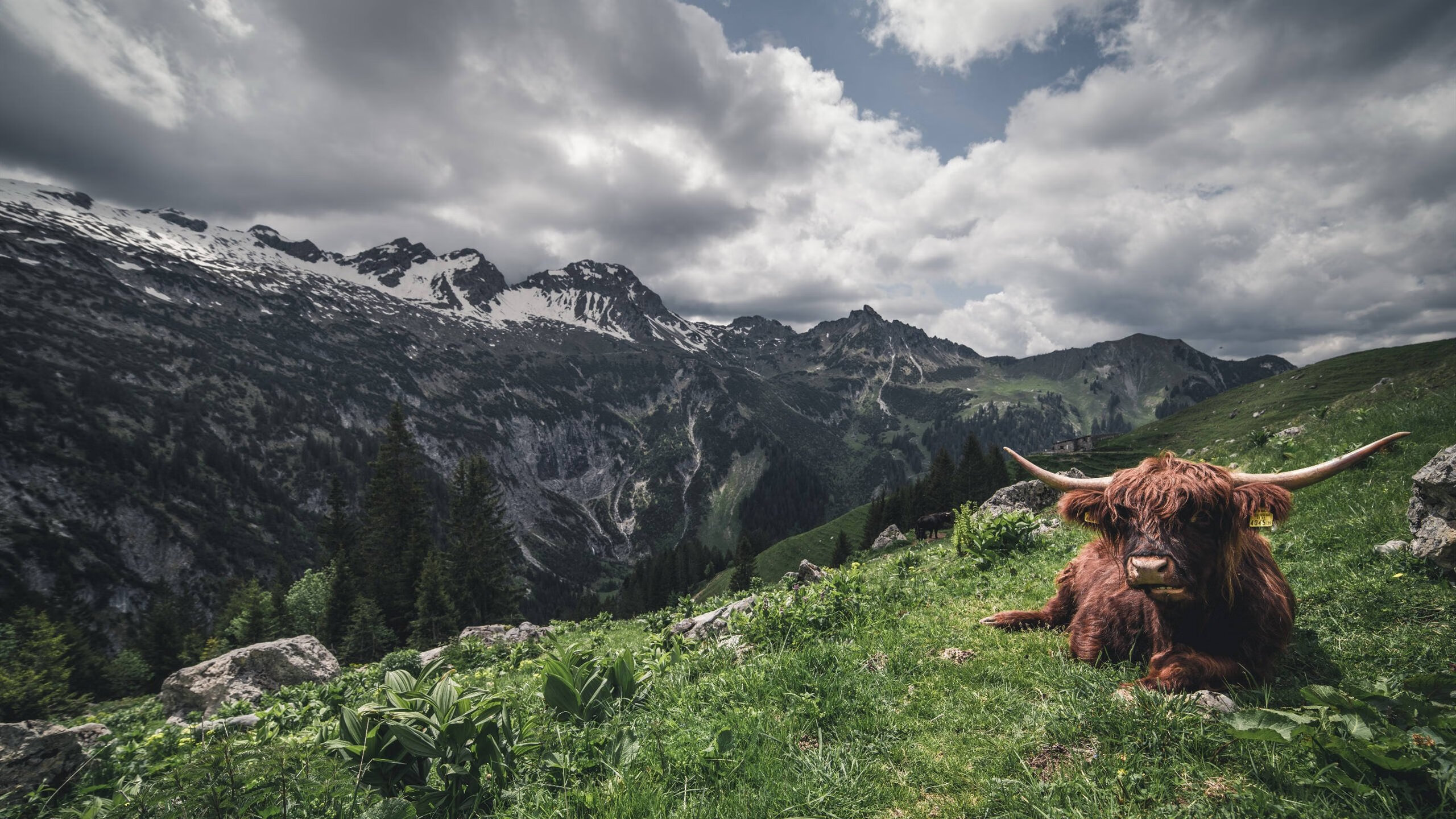 德甲火星碰撞:拜仁慕尼黑与多特蒙德激烈交锋,德国超级杯拜仁慕尼黑vs多特蒙德
