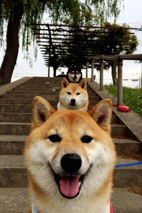 开云体育app注册-意甲球队使用深度学习模型优化中场组织效率，意甲中场球员排名