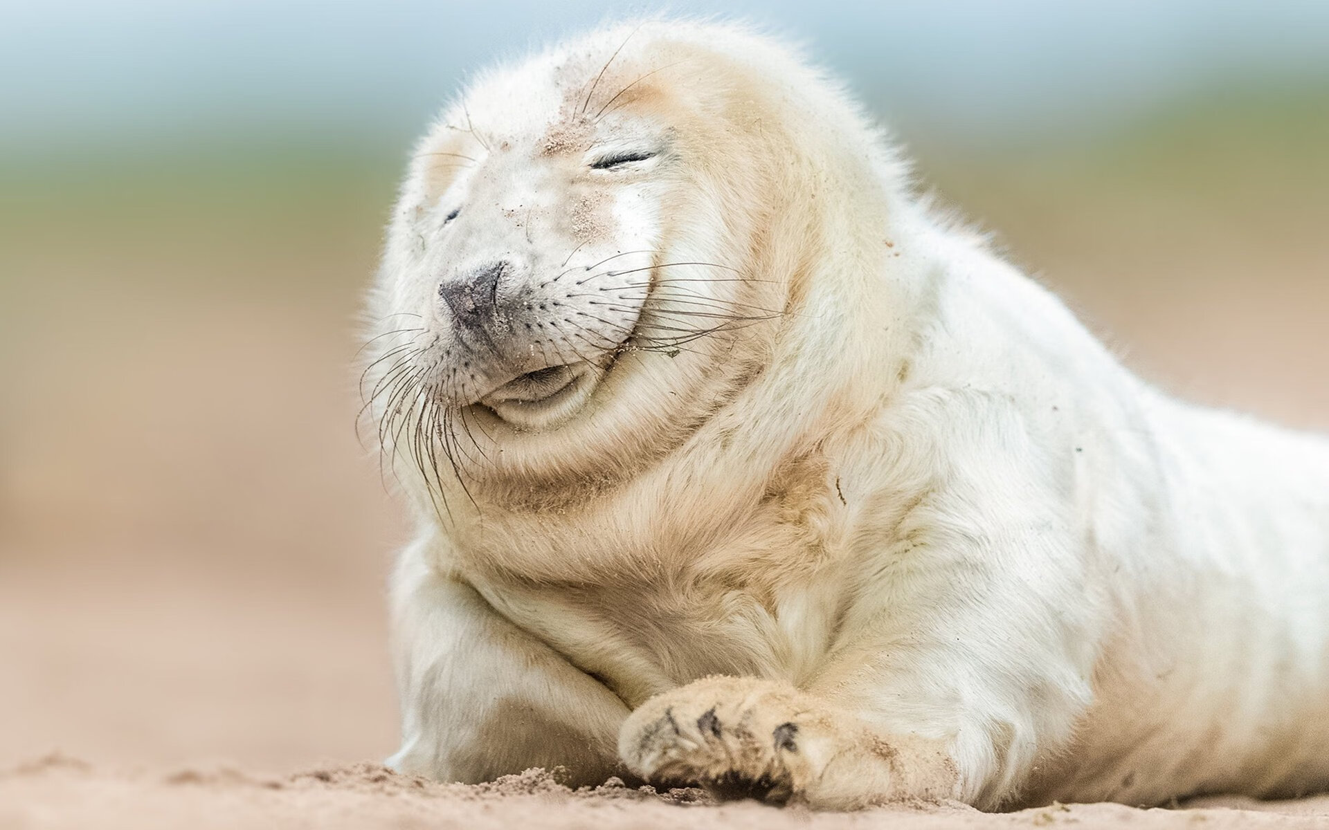 法甲球队通过数据可视化辅助战术调整实证研究，法甲战况