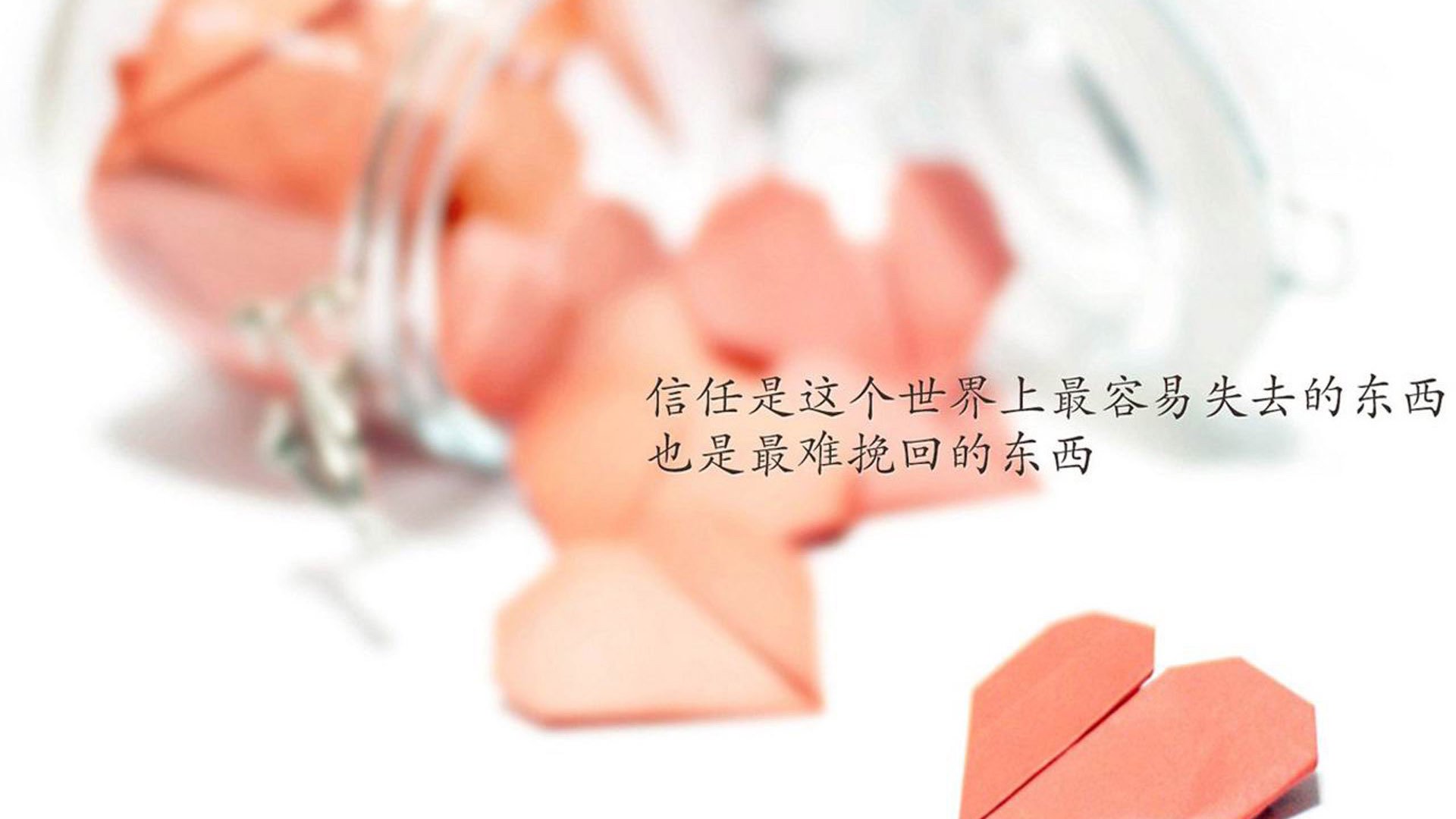 “2025世界游泳锦标赛：谁能成为泳坛的下一个传奇？”