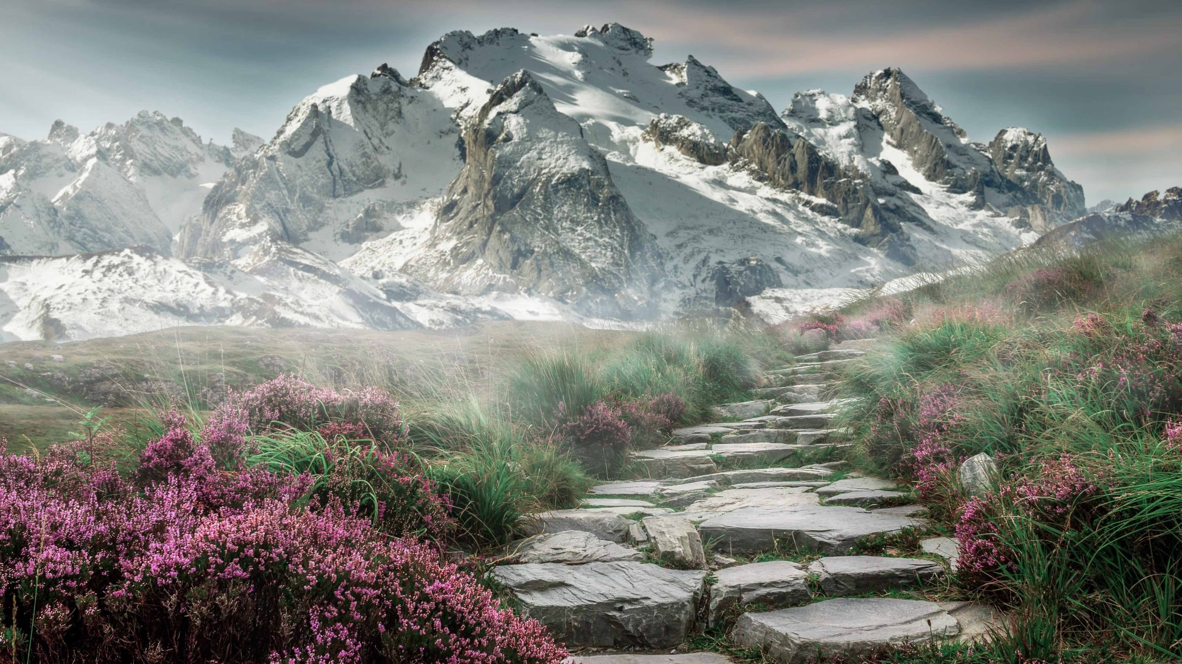 中超新赛季开幕 异军突起成最大看点,中超新赛季各队名单