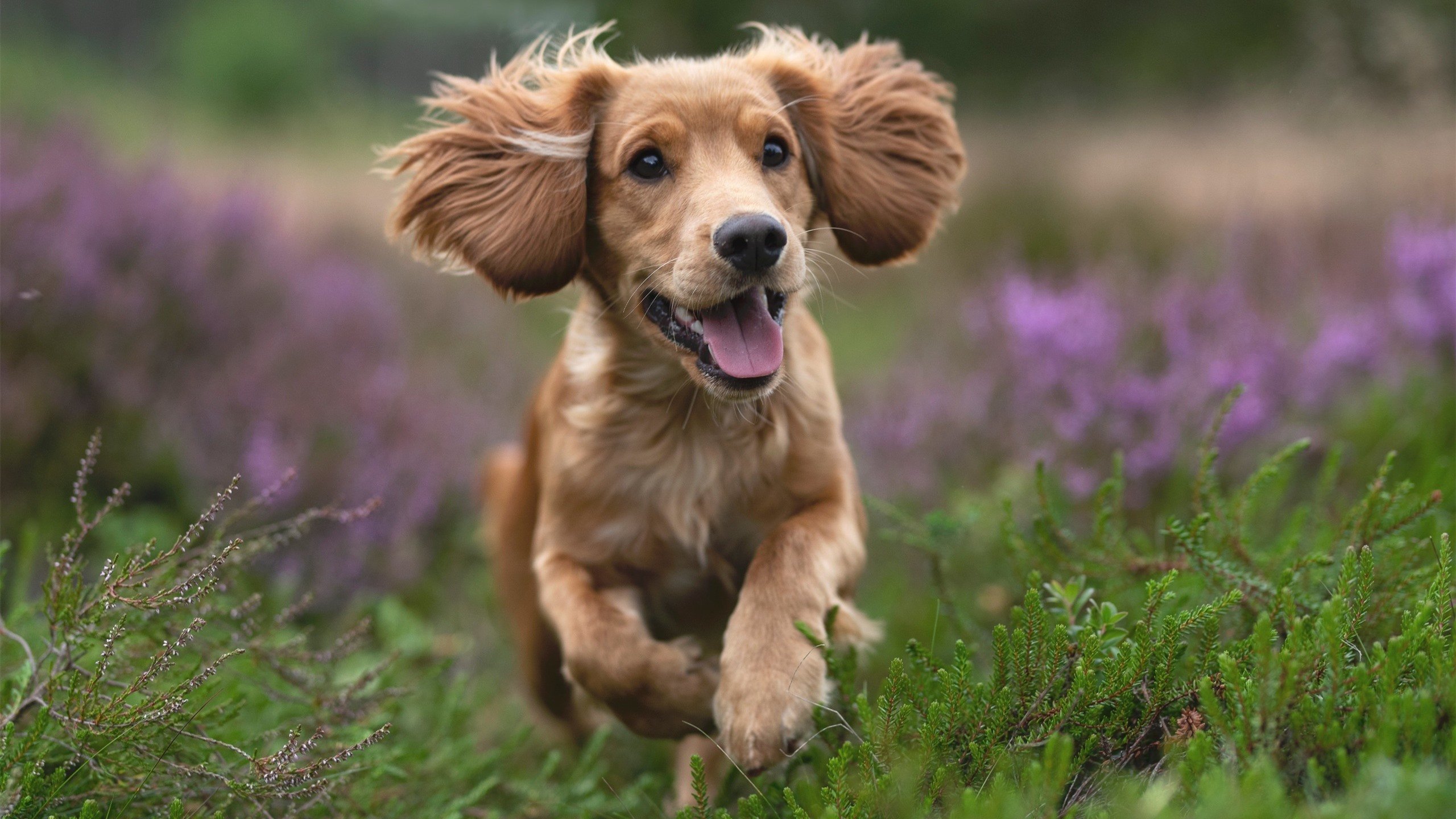 体育新闻中心推动基层体育内容精准扶贫传播项目,体育+扶贫