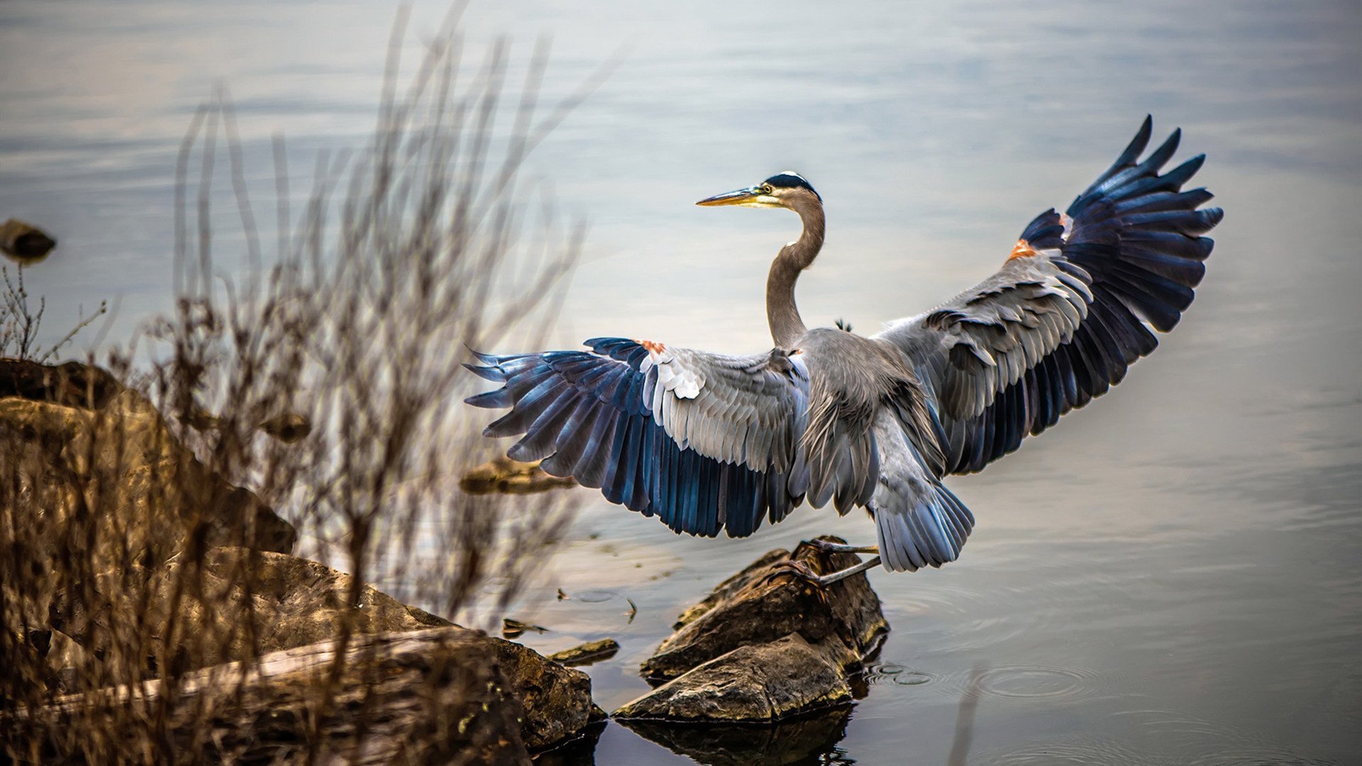 开云体育在线入口-俱乐部管理层频繁变动影响成绩稳定，俱乐部管理人员架构