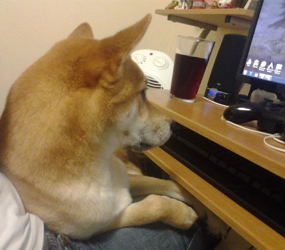 冰雪运动普及率明显提升南方城市表现亮眼,冰雪运动的普及