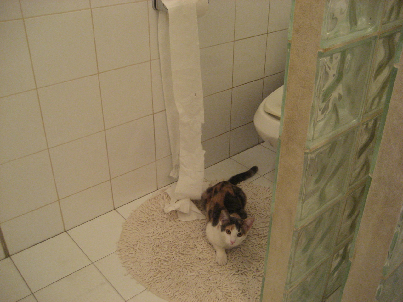 开云体育app官网-埃弗顿反击效率提高保级希望重燃，埃弗顿强吗