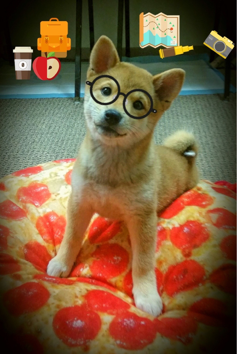 开云体育登录入口-奥林匹克教育主题活动走进幼儿园课堂，奥林匹克的教育主题