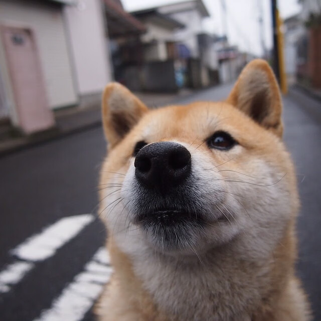 奥林匹克教育主题活动走进幼儿园课堂,奥林匹克的教育主题