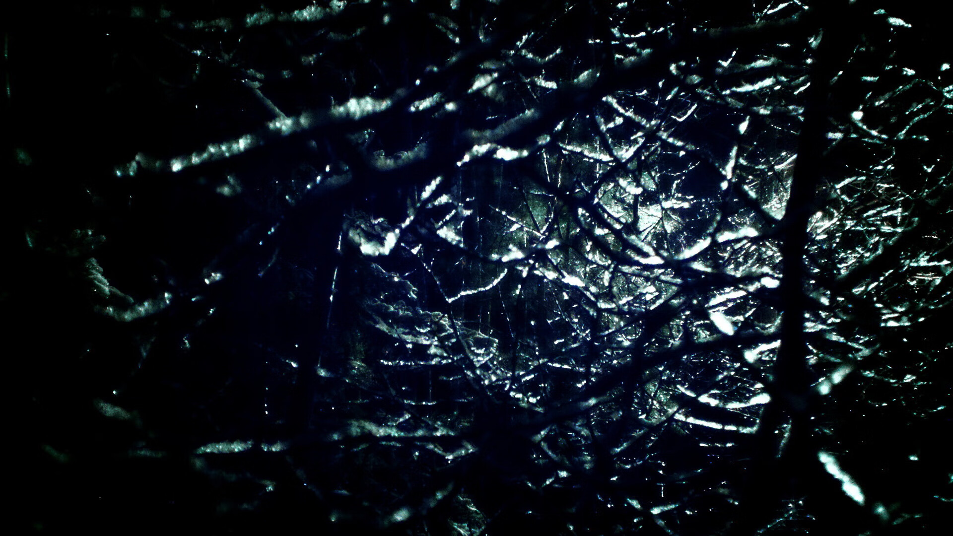 女子项目全面开花 金牌收割进行时