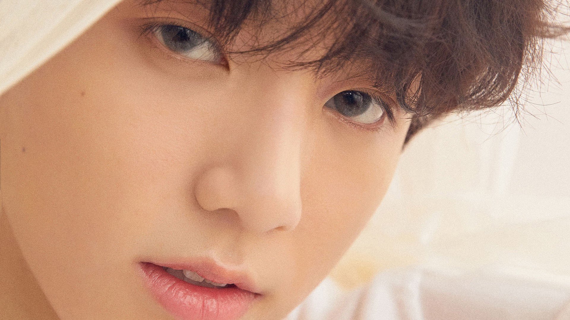 开云体育app官网-弗赖堡整体推进协同构建攻守体系，弗赖堡主场叫什么