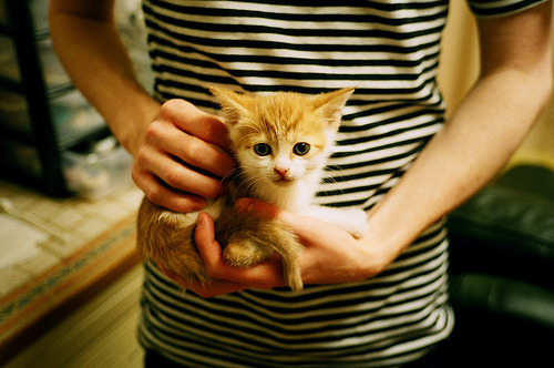 男子200自赛场掀高潮