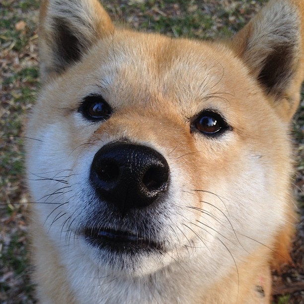 开云官网-进攻端二点球拼抢成功率是否影响破门质量，两点攻球技术