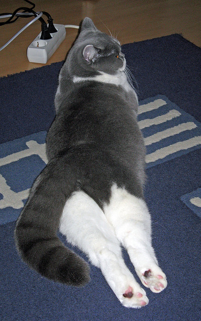 进攻端二点球拼抢成功率是否影响破门质量,两点攻球技术