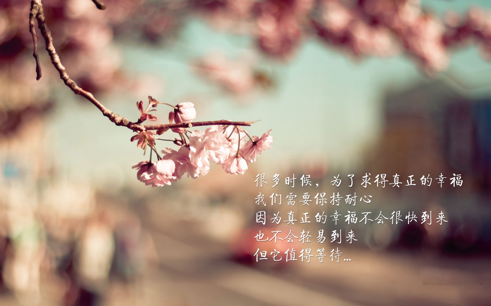 开云体育官网在线-青训球员视野训练是否过于单一，青训人员