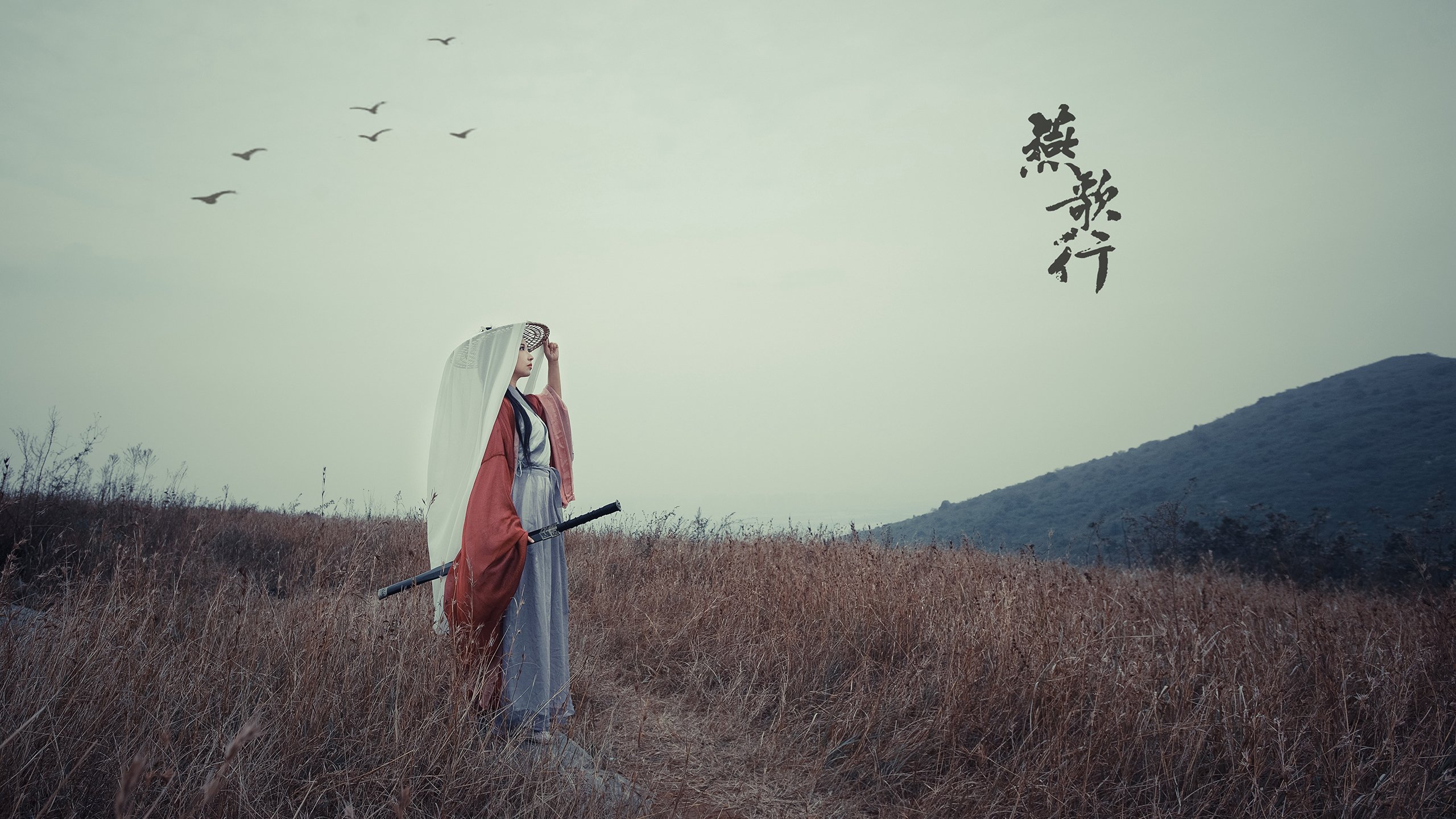 CBA球队更换主帅新战术理念注重球员自主判断与临场调整,cba主帅排名