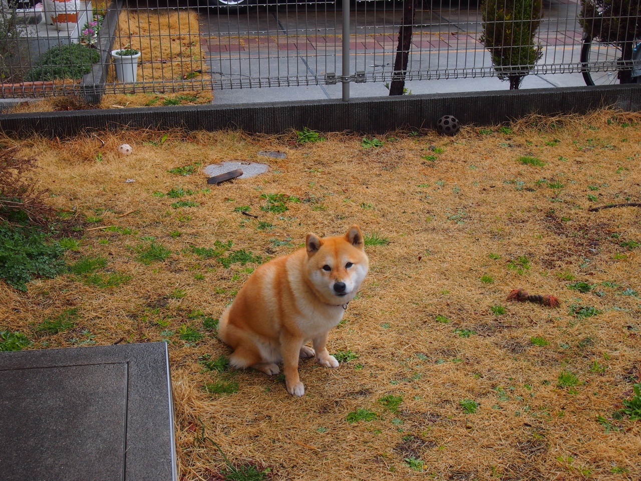 世界杯逆袭传奇:英雄再现,奇迹永恒!,世界杯逆袭传奇_英雄再现,奇迹永恒是什么