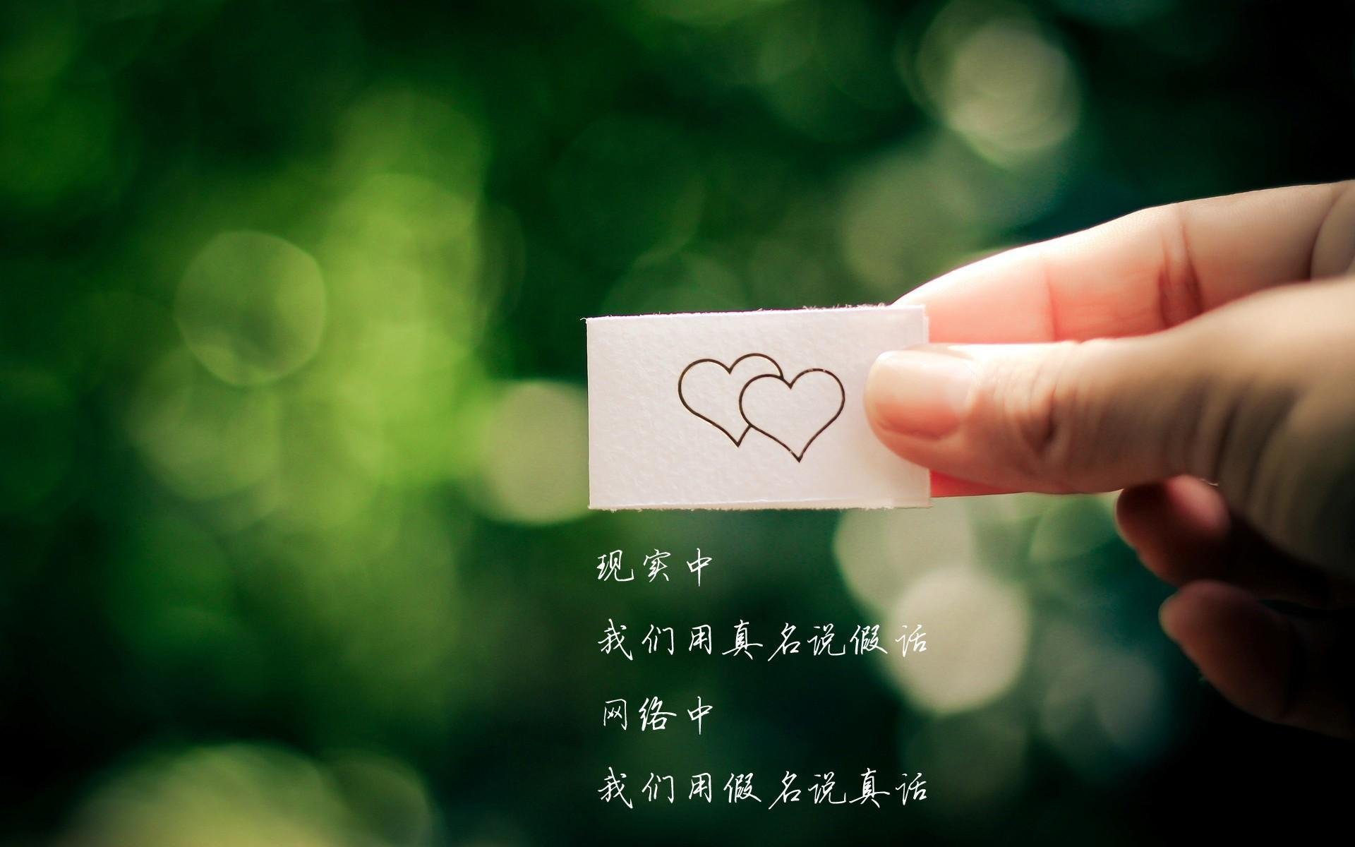 体育新闻中心球迷声音集锦,球迷轶事