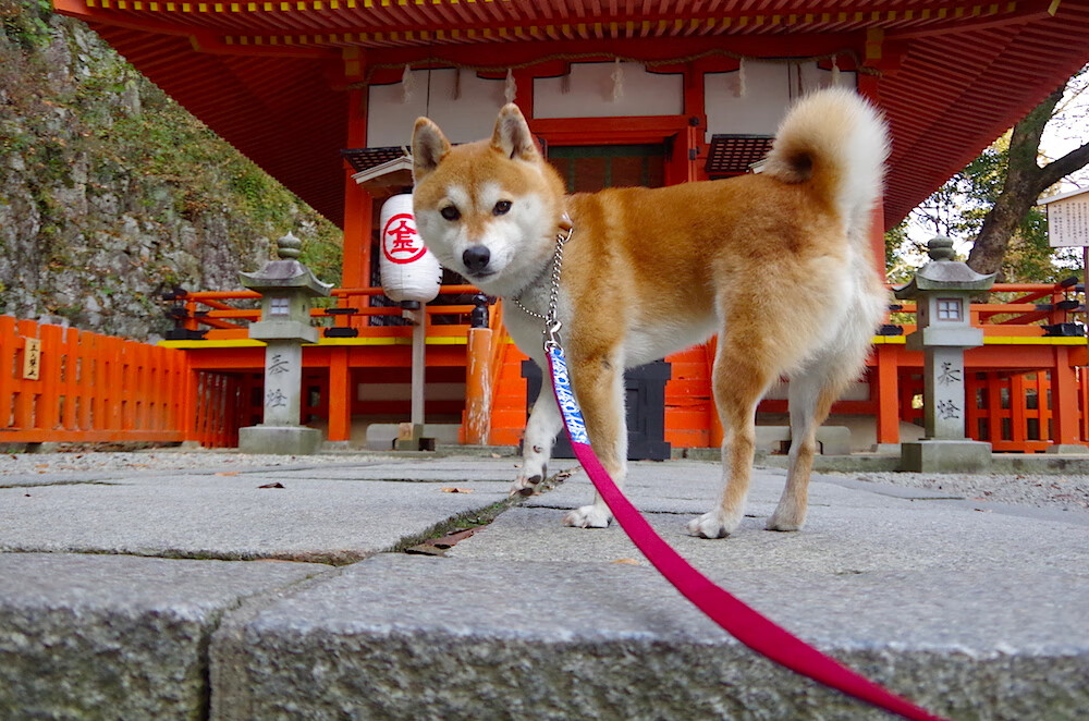 开云体育app注册-全国田径联赛新闻中心上线赛事实时数据更新系统，全国田径比赛2021