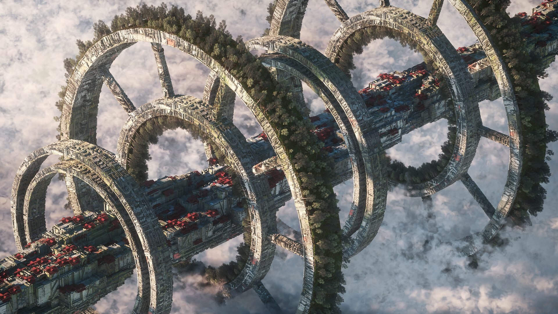 南非橄榄球崛起:年轻力量推动新一轮巅峰,南非 橄榄球