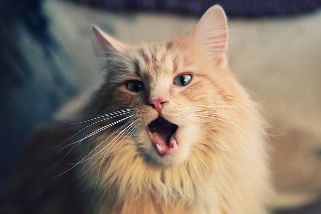 开云体育链接-德甲球队的战术思想演变，德甲的队伍