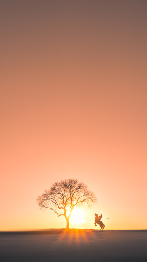 自由泳长距离南非耐力出众,自由泳长距离视频