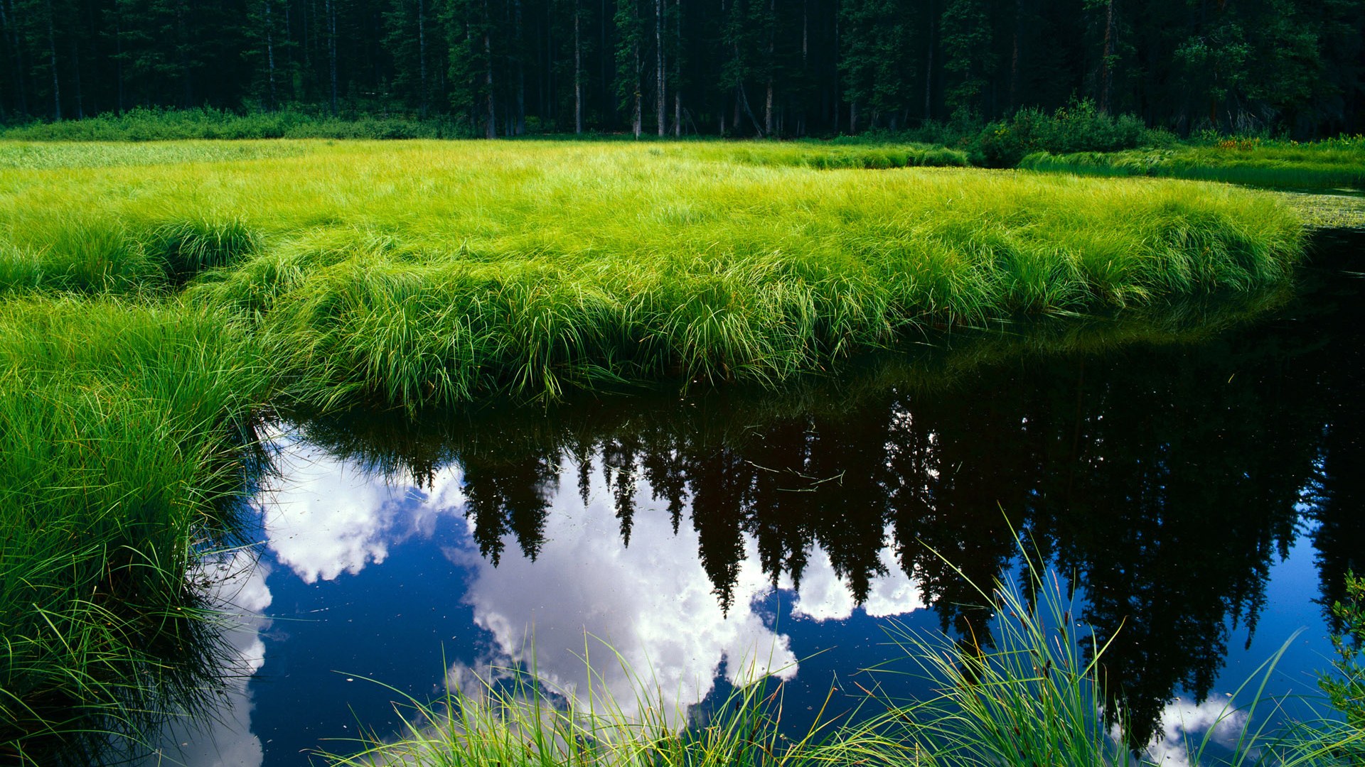 高空球争抢成为比赛焦点双方后卫对抗激烈防守强度十足，高空球是什么